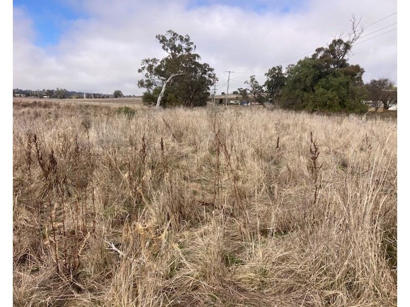 1 /McRae Street, Merriwa NSW 2329