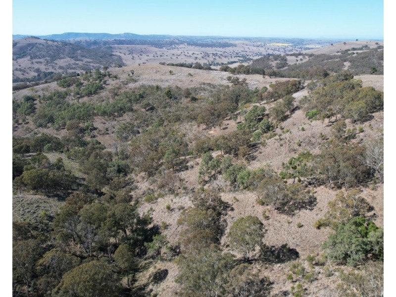 1861 Pembroke Road, Cassilis NSW 2329