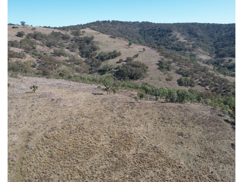 1861 Pembroke Road, Cassilis NSW 2329