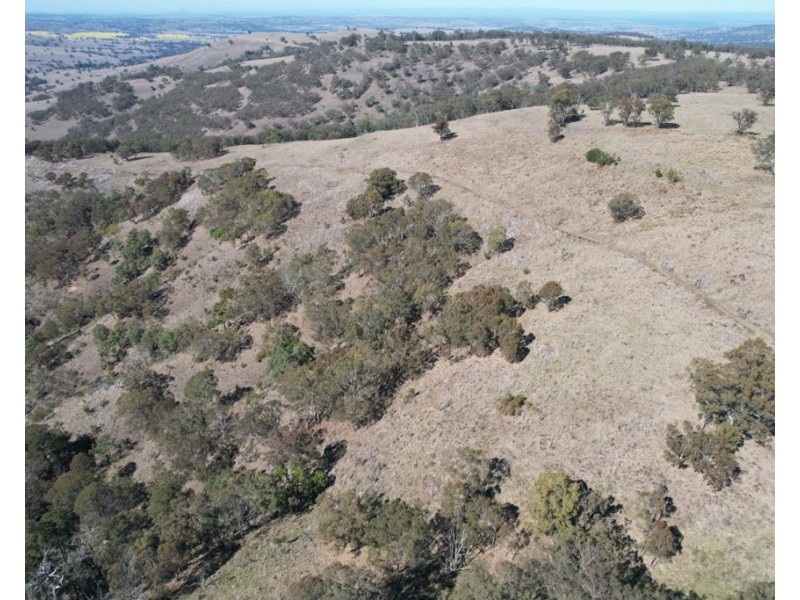 1861 Pembroke Road, Cassilis NSW 2329