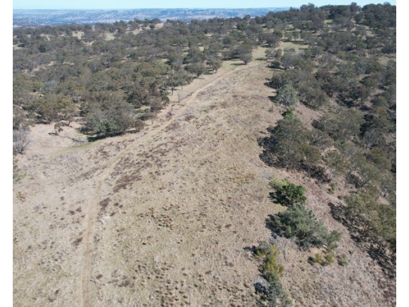 1861 Pembroke Road, Cassilis NSW 2329