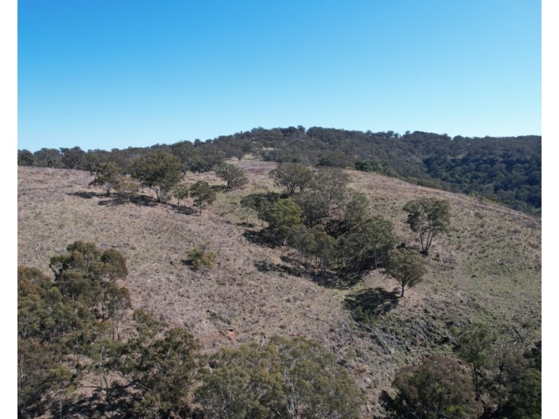 1861 Pembroke Road, Cassilis NSW 2329