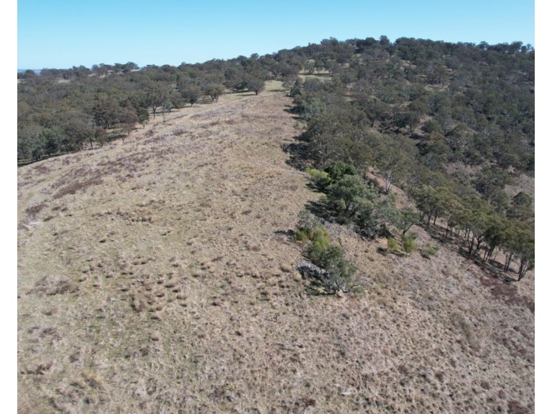 1861 Pembroke Road, Cassilis NSW 2329