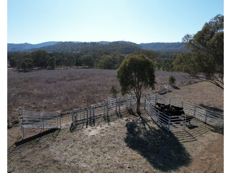 1951 Pembroke Road, Cassilis NSW 2329