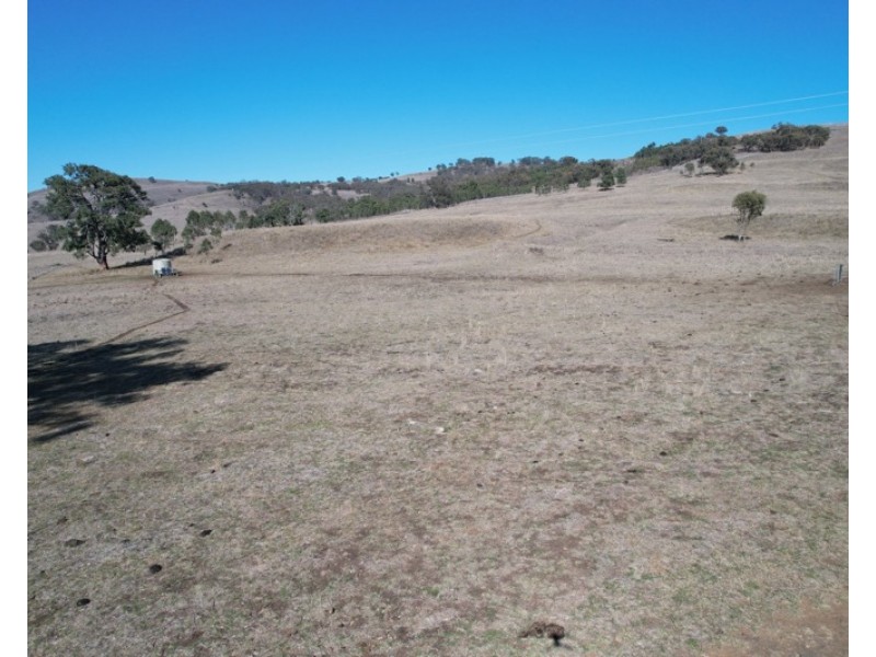 1951 Pembroke Road, Cassilis NSW 2329