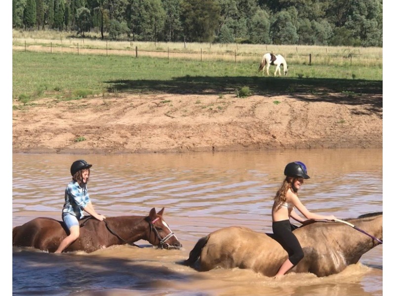 355 TUNBRIDGE ROAD, Merriwa NSW 2329