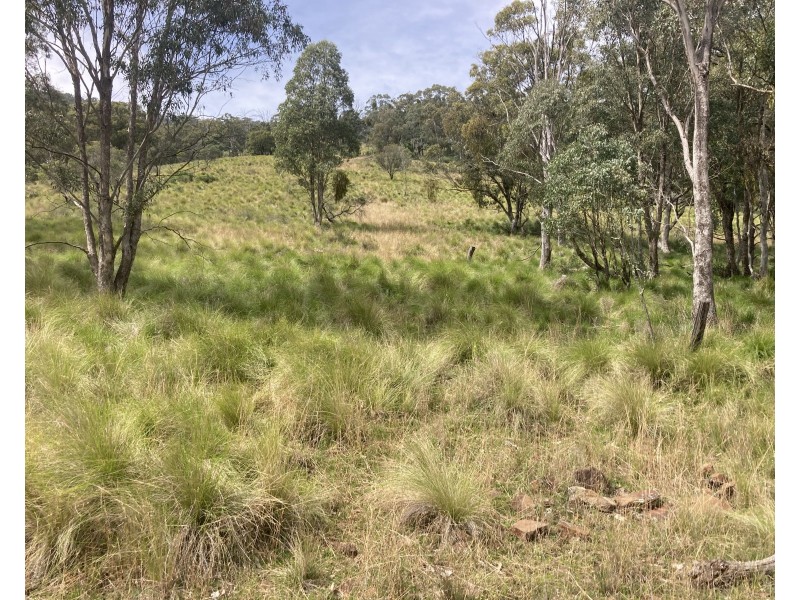 10 Pembroke Road, Cassilis NSW 2329
