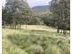 10 Pembroke Road, Cassilis NSW 2329