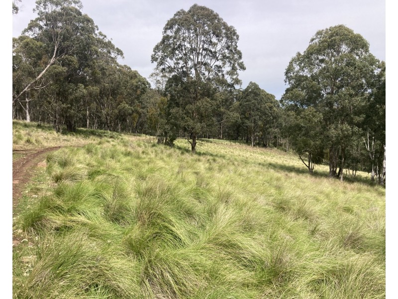 10 Pembroke Road, Cassilis NSW 2329