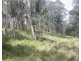 10 Pembroke Road, Cassilis NSW 2329
