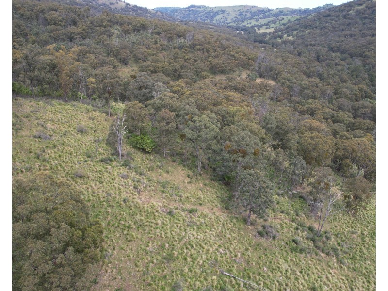 10 Pembroke Road, Cassilis NSW 2329