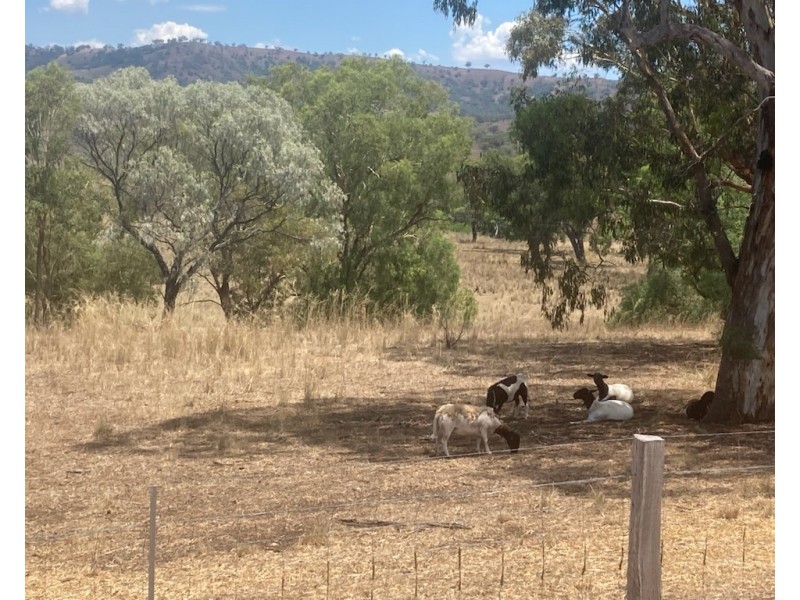 70 High Street, Bunnan NSW 2337