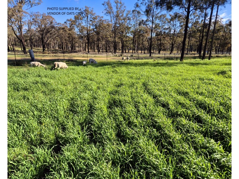 3702 Golden Highway, Merriwa NSW 2329