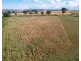 24 OLD SCONE ROAD, Merriwa NSW 2329