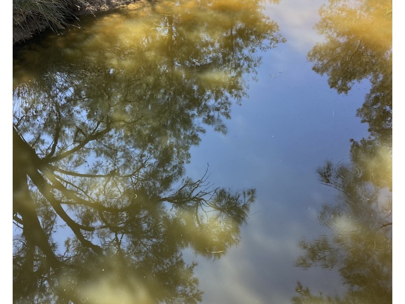 1766 FLAGGS ROAD, Gungal NSW 2333