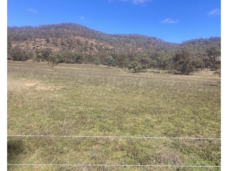 1950 FLAGGS ROAD, Gungal NSW 2333