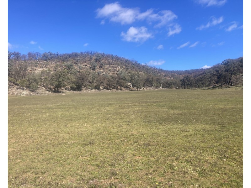 1950 FLAGGS ROAD, Gungal NSW 2333