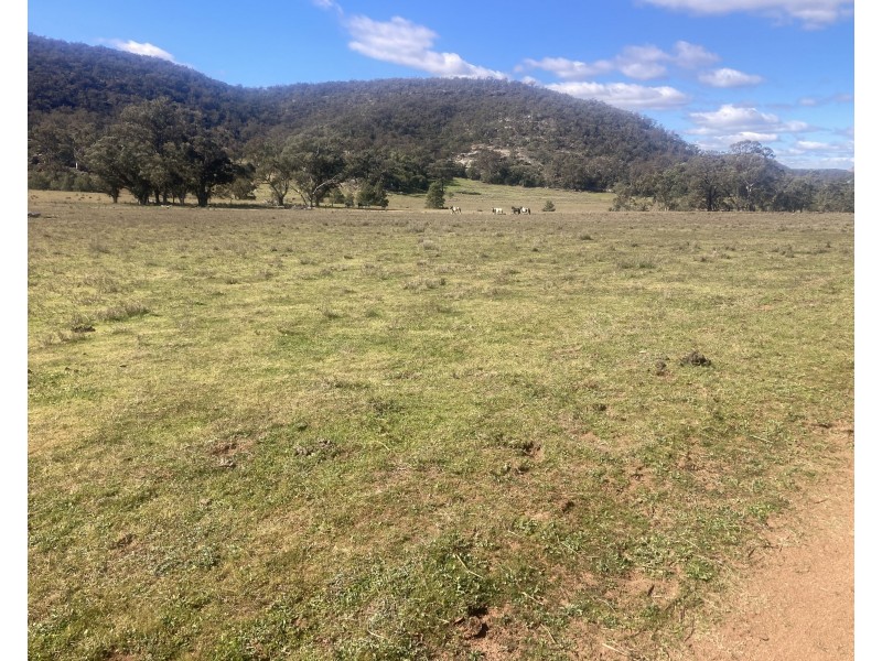 1950 FLAGGS ROAD, Gungal NSW 2333