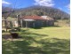 1950 FLAGGS ROAD, Gungal NSW 2333