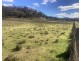 1950 FLAGGS ROAD, Gungal NSW 2333
