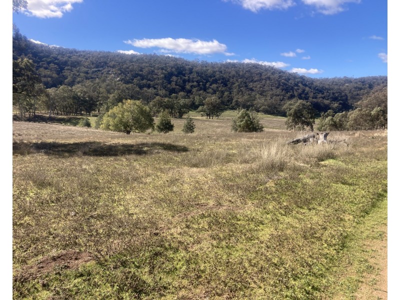 1950 FLAGGS ROAD, Gungal NSW 2333