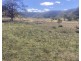 1950 FLAGGS ROAD, Gungal NSW 2333