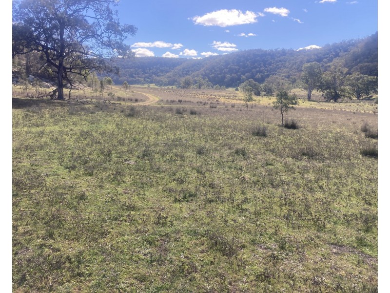 1950 FLAGGS ROAD, Gungal NSW 2333