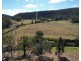 1950 FLAGGS ROAD, Gungal NSW 2333