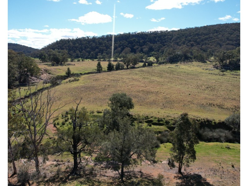 1950 FLAGGS ROAD, Gungal NSW 2333