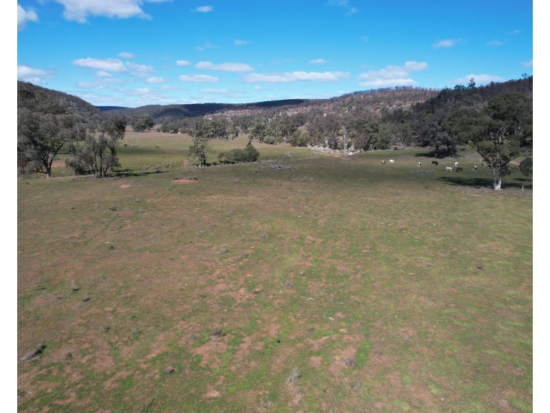 1950 FLAGGS ROAD, Gungal NSW 2333