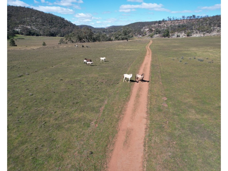 1950 FLAGGS ROAD, Gungal NSW 2333