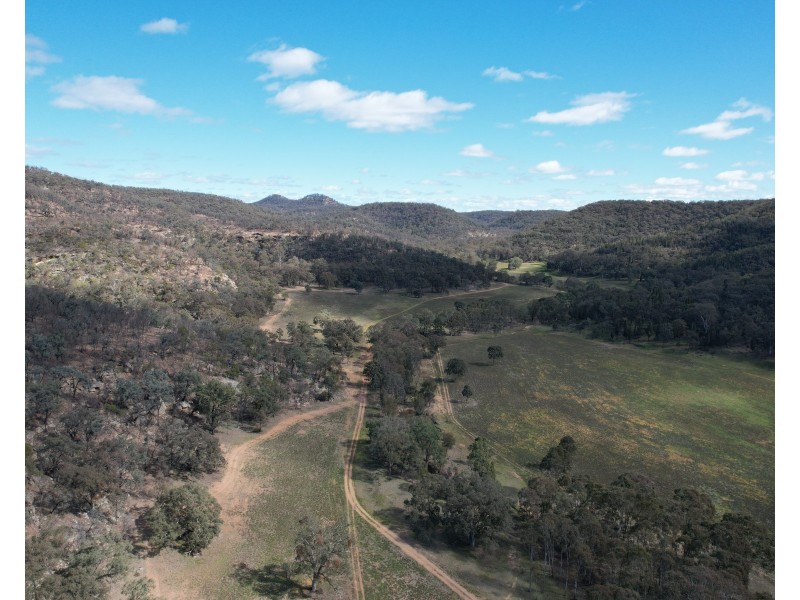 1950 FLAGGS ROAD, Gungal NSW 2333