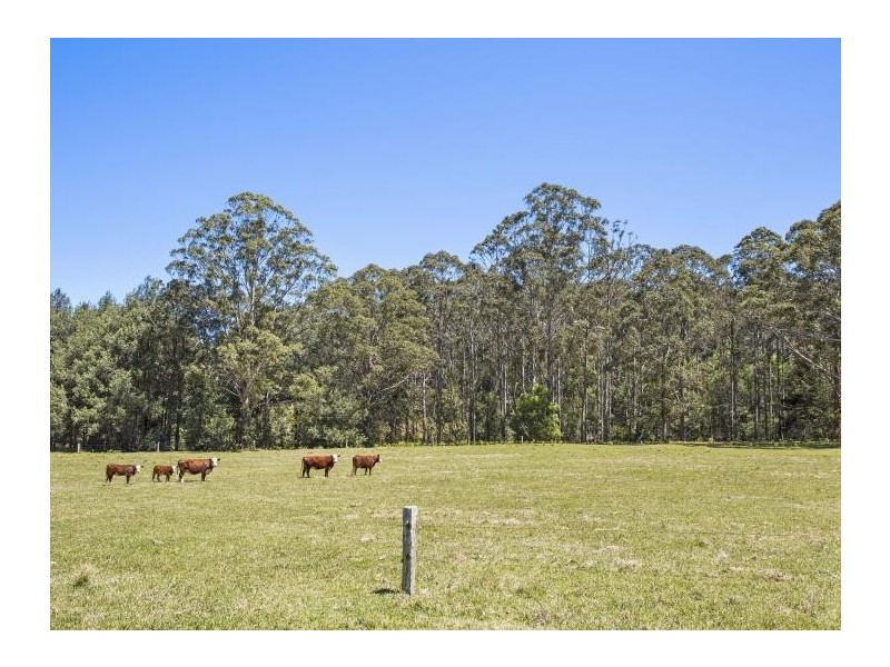 225 Woodburn Road, Morton NSW 2538