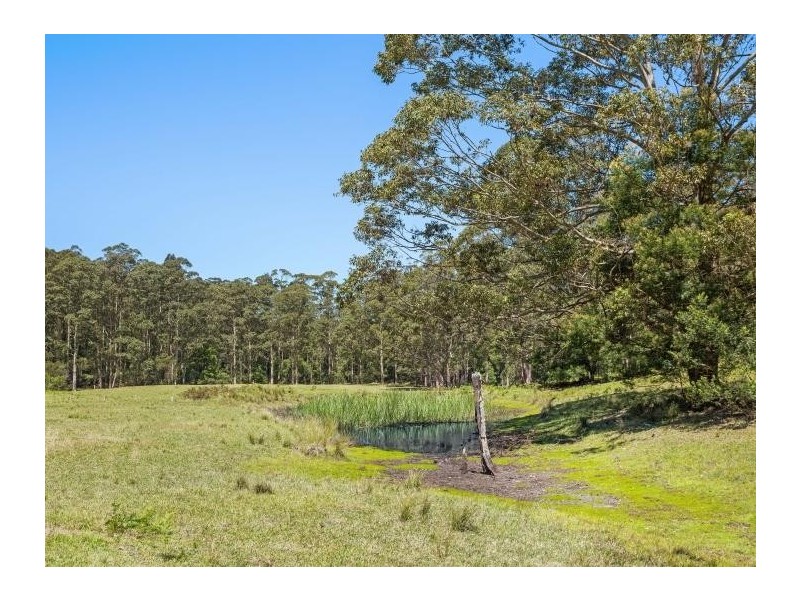 225 Woodburn Road, Morton NSW 2538