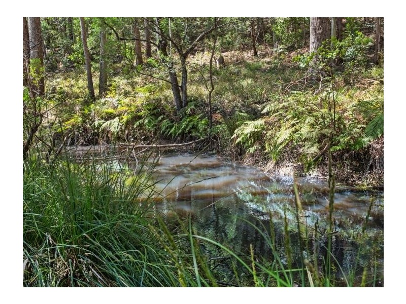 225 Woodburn Road, Morton NSW 2538