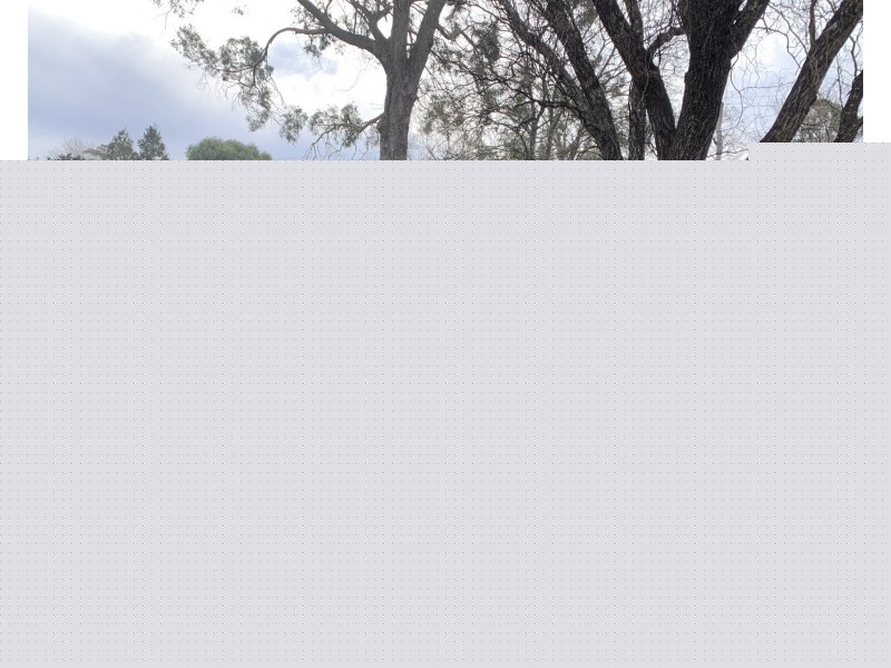 60 OLD SOUTH ROAD, Bowral NSW 2576