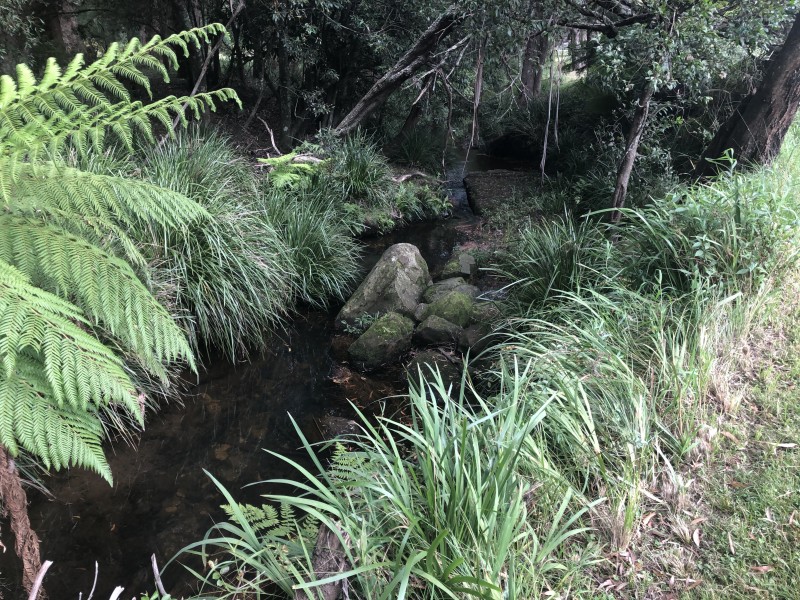 1750 JAMBEROO MOUNTAIN ROAD, Robertson NSW 2577