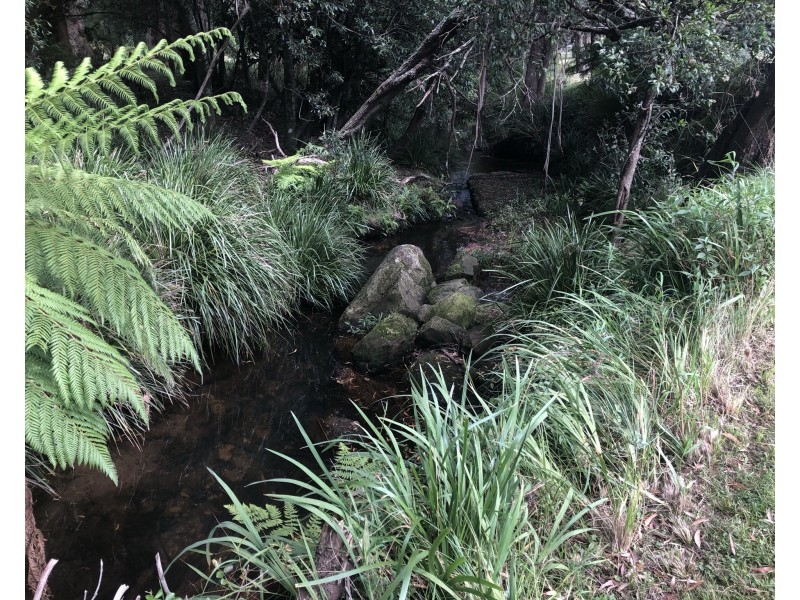 1750 JAMBEROO MOUNTAIN ROAD, Robertson NSW 2577