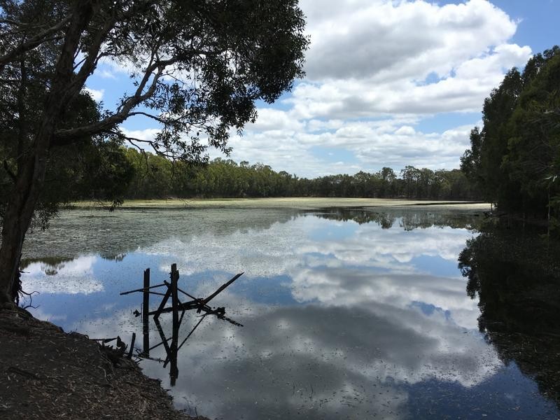 Morayfield QLD 4506