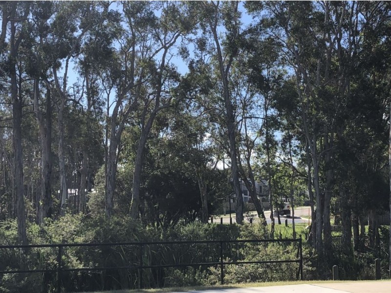 Unit 6 Chelmsford Road, Mango Hill QLD 4509