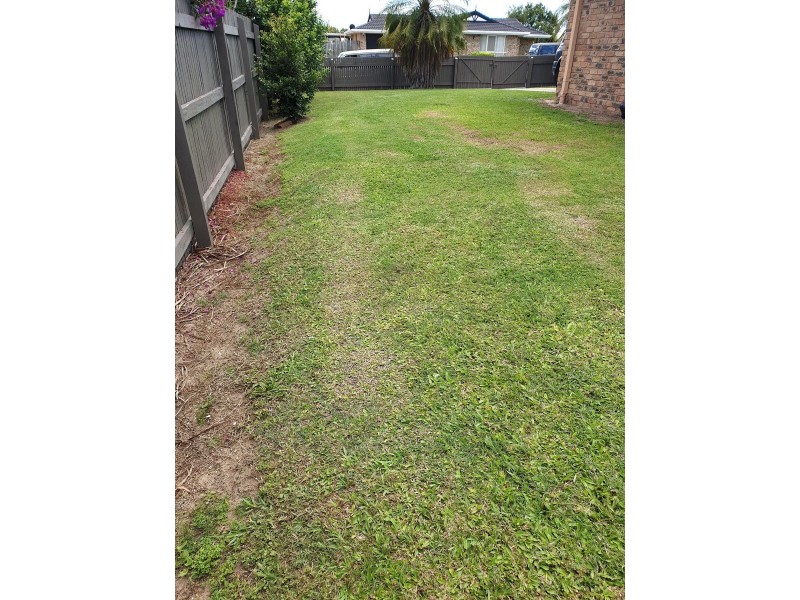 1 Forestlea Place, Morayfield QLD 4506