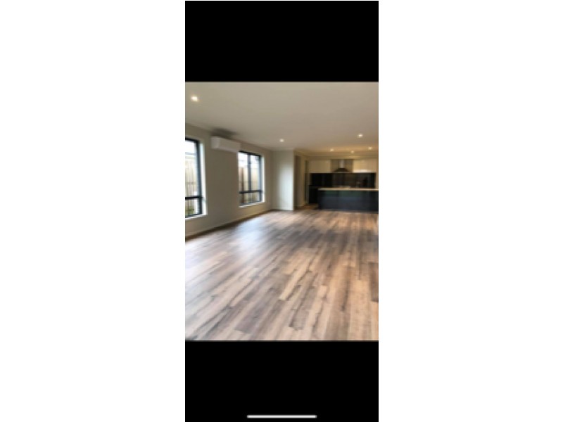 13 Butterleaf Crescent,, Pimpama QLD 4209