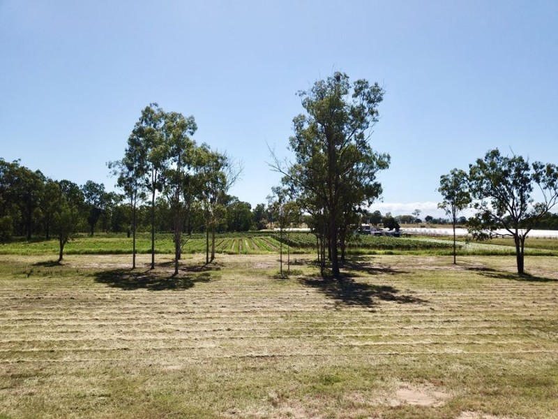 7 Maragon Court, Lake Clarendon QLD 4343