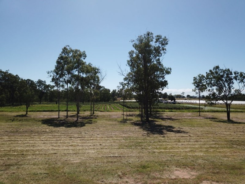 3 Maragon Court, Lake Clarendon QLD 4343