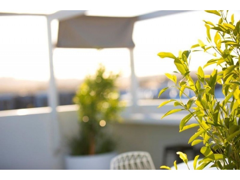 34 Tranquility Way, Palmview QLD 4553