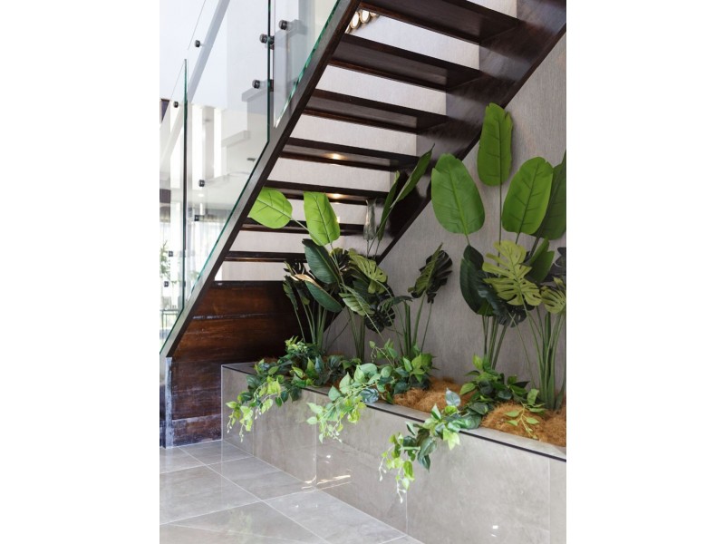 6 Forestdale Street, Coomera QLD 4209