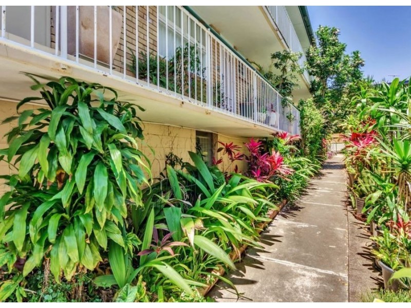 Unit 3, 17 East Street, Lutwyche QLD 4030