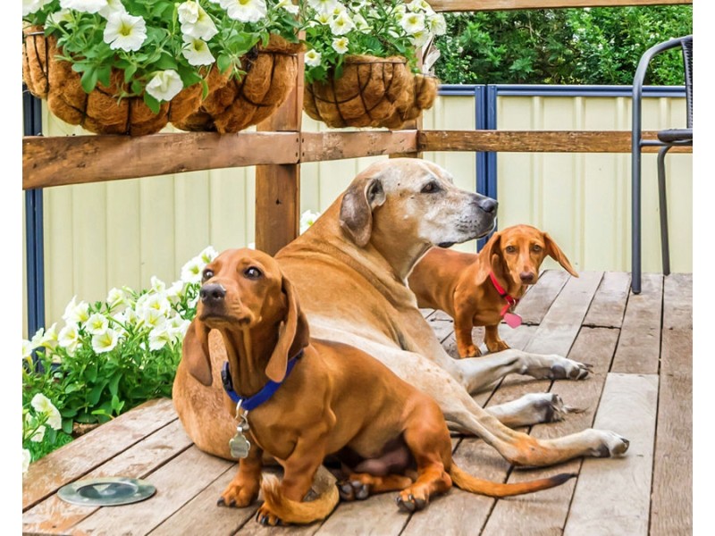 32 Sheehan Street, Kallangur QLD 4503