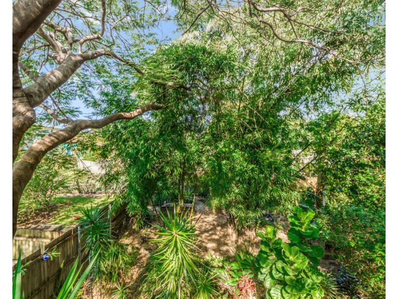 49 Ellis Street, Greenslopes QLD 4120