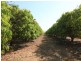 130 Emungalan Road, Katherine NT 0850